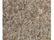 Household carpet Balsan Beaulieu Real Picasso 1153 - high quality at the best price in Ukraine